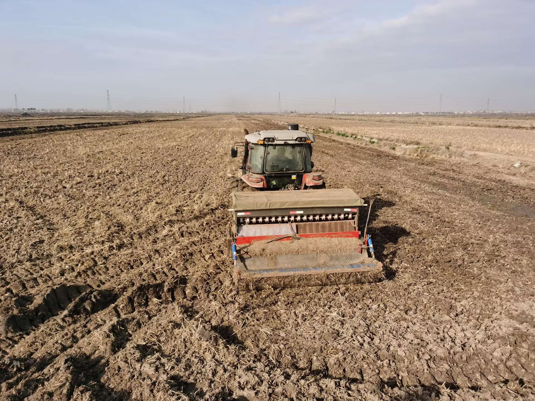 QQ图片20241127094726