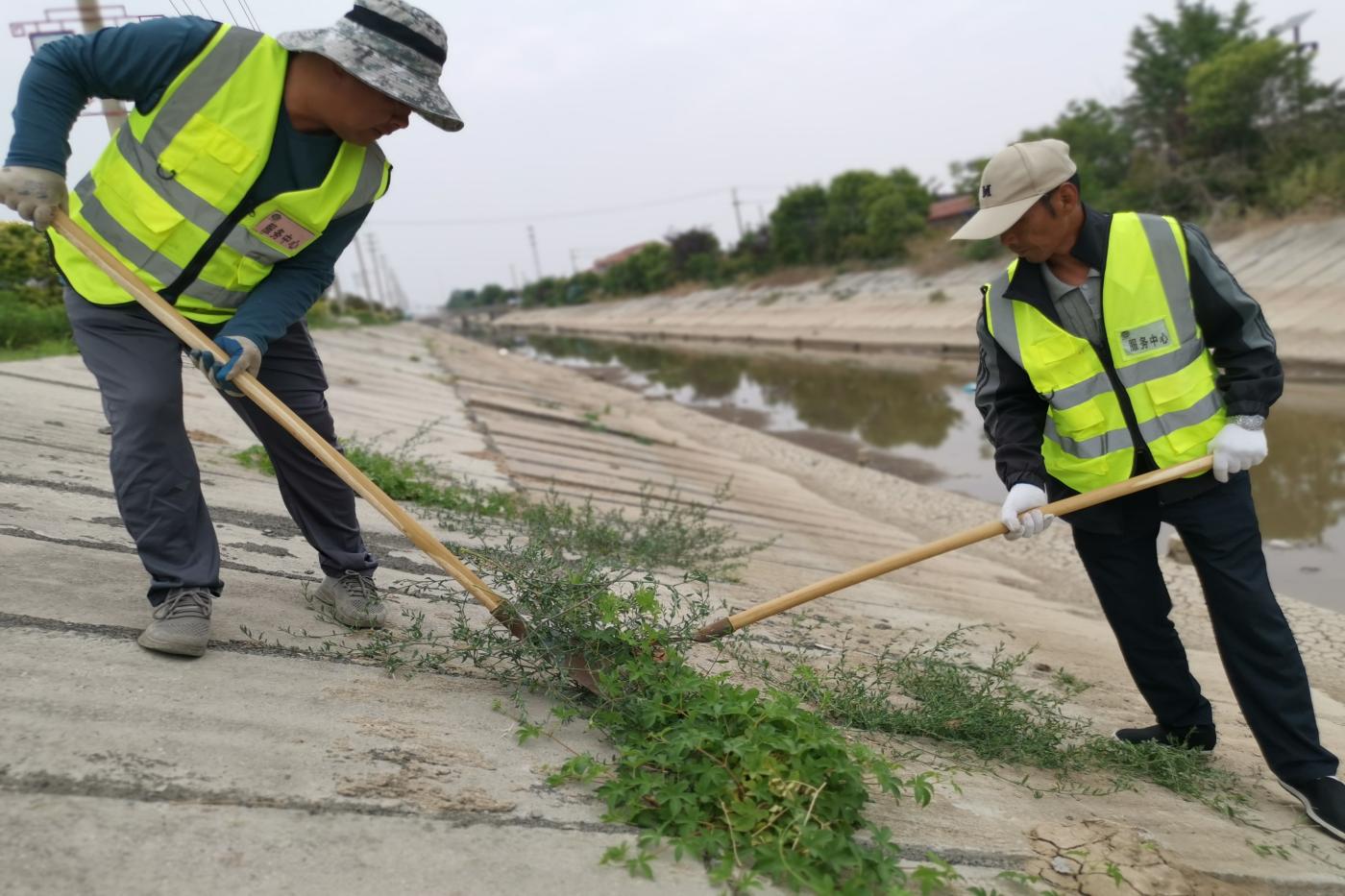 服务中心护坡除草